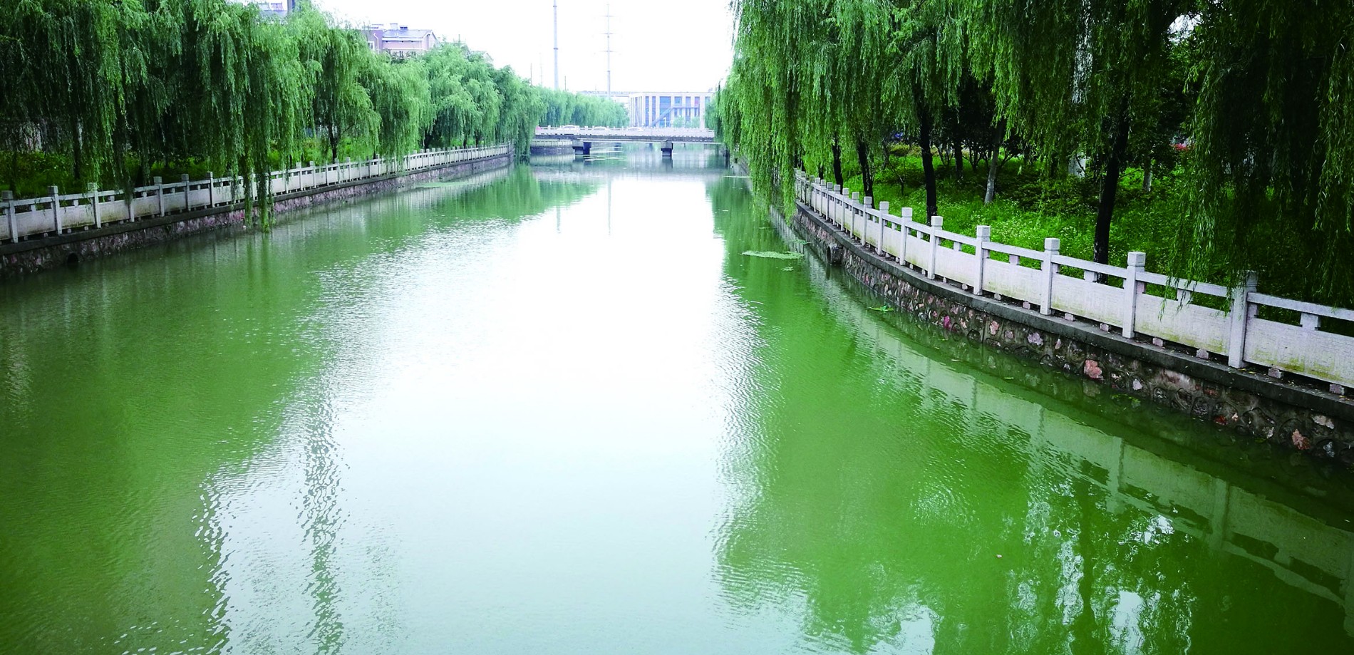 宜興市張澤聯(lián)圩除險加固工程.jpg