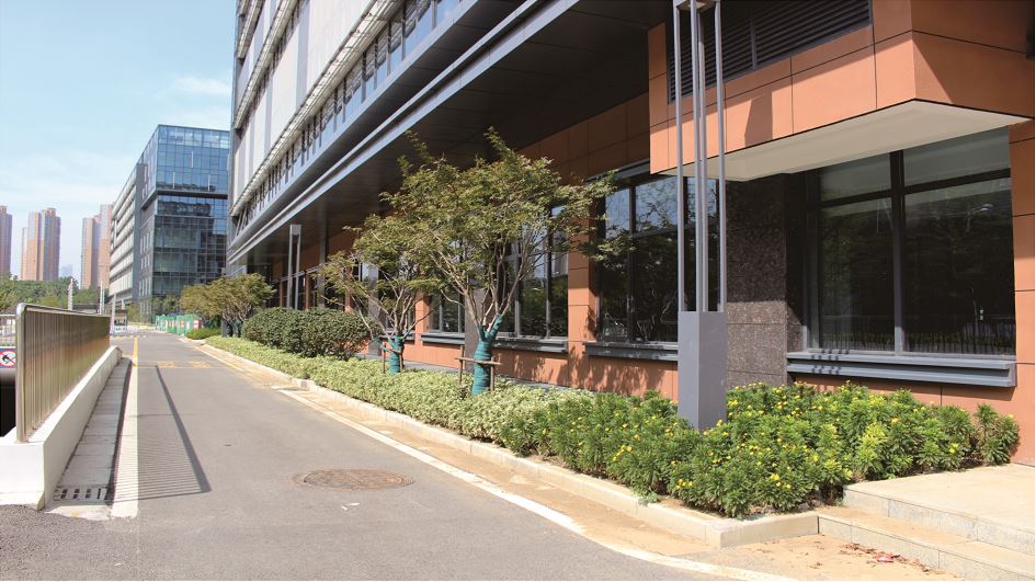 春勤農貿市場(chǎng)室外市政及景觀(guān)綠化工程1.jpg