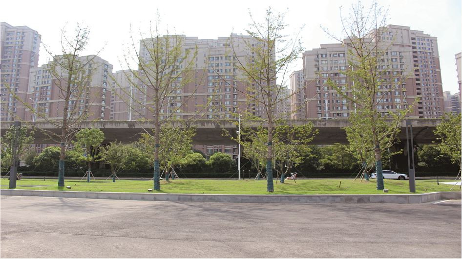 春勤農貿市場(chǎng)室外市政及景觀(guān)綠化工程3.jpg